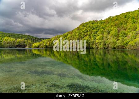 Siehe im Nationalpark Plitvicer gesehen, Kroatien, Europa | See der Plitvicer Seen, Kroatien, Europa Stockfoto