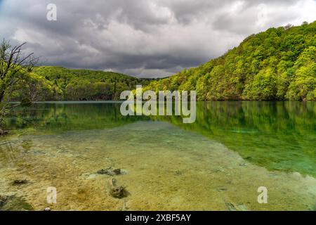 Siehe im Nationalpark Plitvicer gesehen, Kroatien, Europa | See der Plitvicer Seen, Kroatien, Europa Stockfoto