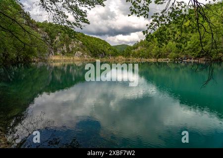 Plitvicer gesehen See im Nationalpark Plitvicer gesehen, Kroatien, Europa See des Nationalparks Plitvicer Seen, Kroatien, Europa *** Plitvicer Seen Stockfoto