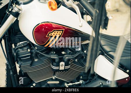 Italien, 09. Juni 2024: Motorräder der legendären Marke Harley Davidson auf der EUROPÄISCHEN H.O.G.-RALLYE der Senigallia Ancona Marche Stockfoto