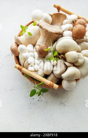 Vielzahl roher Pilze auf grauem Betonhintergrund. Stockfoto