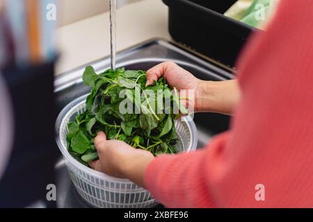 Person, die Spinatblätter wäscht, Frauenhand, Hausmannskochkonzept Stockfoto