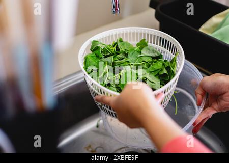 Person, die Spinatblätter wäscht, Frauenhand, Hausmannskochkonzept Stockfoto