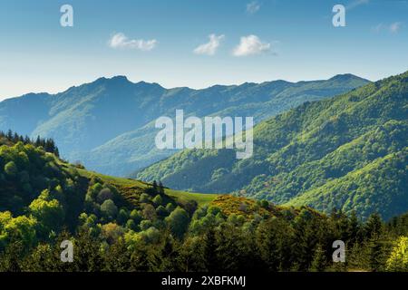 Col de la Chavade (1266 m) Blick auf die Berge von Vivarais. Ardeche. Auvergne-Rhone-Alpes. Frankreich Stockfoto