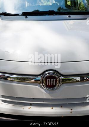 Italien, Rimini, 12. juni 2024 – Close-up-Logo für den italienischen Klassiker FIAT Stockfoto