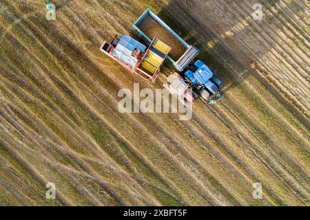 Ein Traktor mit Erntemaschine, der die Kartoffeln während der Kartoffelernte in einen Anhänger entleert, Draufsicht mit Drohne Stockfoto