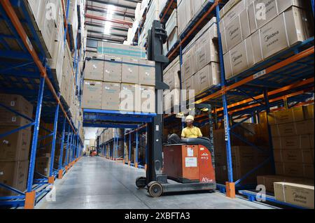 NANJING, CHINA – 12. JUNI 2024 – Arbeiter bearbeiten und sortieren Waren in einem Lager im East China Logistics Center von Suning in Nanjing, Provinz Jiangsu, CH Stockfoto