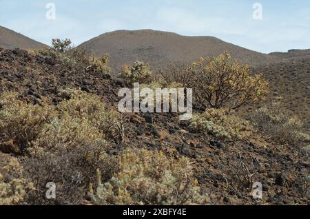 Zerklüftete vulkanische Landschaften im westlichen Santo Antao, Cabo Verde Stockfoto