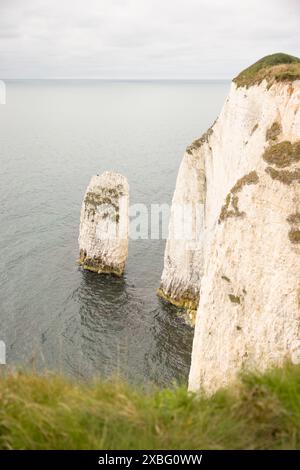 Die Pinnacles, Der Alte Harry Rocks. Das Meer stapelt sich vor der Jurassic Coast, UNESCO-Weltkulturerbe in Dorset, Großbritannien Stockfoto