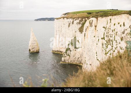 Die Pinnacles, Der Alte Harry Rocks. Das Meer stapelt sich vor der Jurassic Coast, UNESCO-Weltkulturerbe in Dorset, Großbritannien Stockfoto