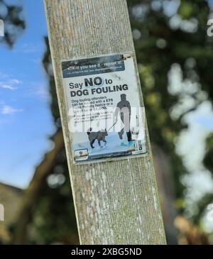 Ein Schild über Hundefouling, Stafford, England, Großbritannien Stockfoto