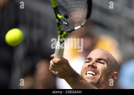 ROSMALEN - Adrian Mannarino (FRA) im Kampf gegen Gijs Brouwer (NED) am fünften Tag des Libema Open Tennis Turniers in Rosmalen. ANP-SCHLEIFMASCHINE KONING Stockfoto