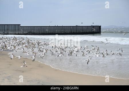 Ein Zaun an der Grenze zwischen den Vereinigten Staaten und Mexiko, wo er im Border Field State Park Beach auf den Pazifik trifft Stockfoto