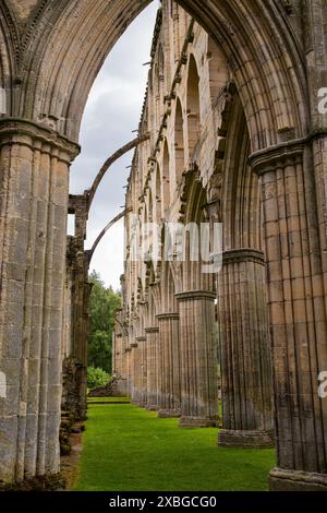 Die Ruinen der Rievaulx Abbey in der Nähe von Helmsley in North Yorkshire, England, Großbritannien. Ursprünglich 1132, im 12. Jahrhundert, erbaut. Stockfoto