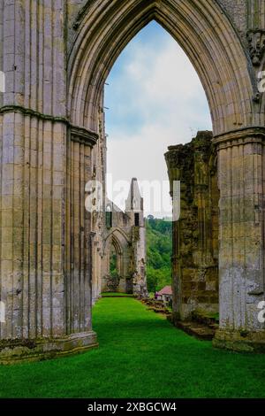 Die Ruinen der Rievaulx Abbey in der Nähe von Helmsley in North Yorkshire, England, Großbritannien. Ursprünglich 1132, im 12. Jahrhundert, erbaut. Stockfoto