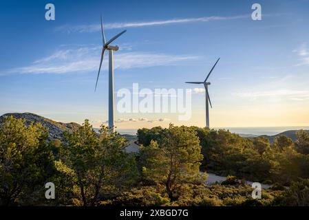 Windpark Baix Ebre und Gebirgszug Cardó - El Boix an einem Wintermorgen (Baix Ebre, Tarragona, Katalonien, Spanien) ESP: Parque eólico del Baix Ebre Stockfoto