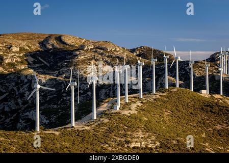 Windpark Baix Ebre und Gebirgszug Cardó - El Boix an einem Wintermorgen (Baix Ebre, Tarragona, Katalonien, Spanien) ESP: Parque eólico del Baix Ebre Stockfoto