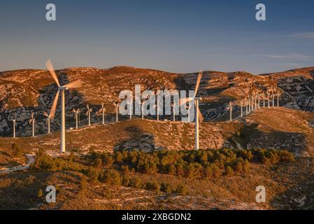 Boix Gebirge und Tortosa - Baix Ebre Windpark bei Sonnenaufgang im Winter (Baix Ebre, Tarragona, Katalonien, Spanien) ESP: Sierra del Boix y parque eólico Stockfoto