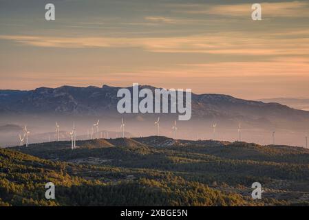 Windpark Les Calobres, von der Boix-Bergkette während eines Sonnenaufgangs im Winter gesehen (Baix Ebre, Tarragona, Katalonien, Spanien) Stockfoto