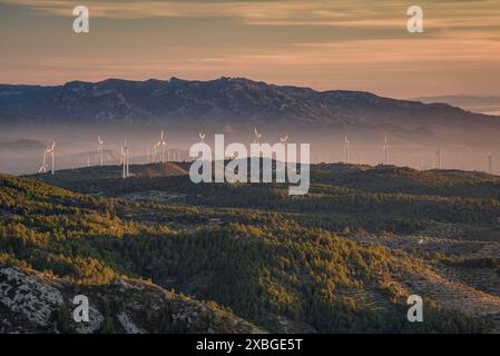 Windpark Les Calobres, von der Boix-Bergkette während eines Sonnenaufgangs im Winter gesehen (Baix Ebre, Tarragona, Katalonien, Spanien) Stockfoto