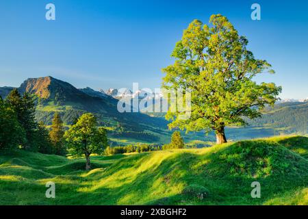 GEOGRAPHIE / REISEN, SCHWEIZ, NO-EXCLUSIVE-USE FOR FOLDING-CARD-GREETING-CARD-POSTCARD-USE Stockfoto