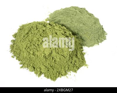 Weizen- und Gerstengraspulver auf weißem Hintergrund Stockfoto