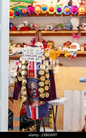 USA. Mai 2024. Die Sommersonnenfeier lädt das Santa Barbara Residence ein, an Workshops teilzunehmen, um zu lernen, wie Masken hergestellt, verkleidet und Wagen gebaut werden, und zwar für das Sommersonnenfest und die Parade 2024 beim Community Arts Workshop in Santa Barbara, KALIFORNIEN am 11. Juni 2024. Das diesjährige Thema: Flights of Fancy! (Foto: Rod Rolle/SIPA USA) Credit: SIPA USA/Alamy Live News Stockfoto