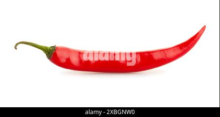 Langer Chili-Pfeffer-Pfad isoliert auf weiß Stockfoto