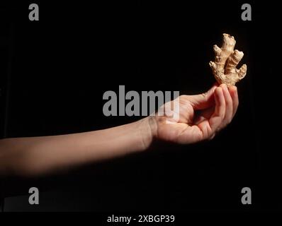 ginger in der Hand auf schwarzem Hintergrund Stockfoto