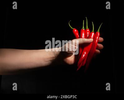 Lange Chilischote in der Hand auf schwarzem Hintergrund Stockfoto