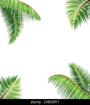 Grüne Blätter der tropischen Palme Vektor-Illustration isoliert auf weißem Hintergrund Stock Vektor