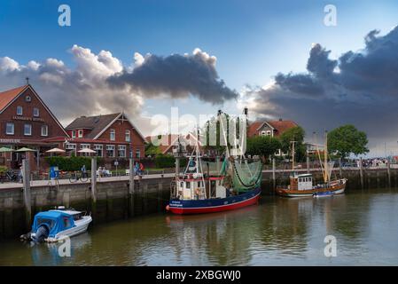 Geographie / Reise, Deutschland, Niedersachsen, Garnelen im Fischereihafen, Neuharlingersiel, ADDITIONAL-RIGHTS-CLEARANCE-INFO-NOT-AVAILABLE Stockfoto