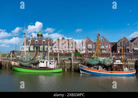 Geographie / Reise, Deutschland, Niedersachsen, Garnelen im Fischereihafen, Neuharlingersiel, ADDITIONAL-RIGHTS-CLEARANCE-INFO-NOT-AVAILABLE Stockfoto