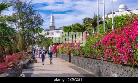 Lanzarote, Kanarische Inseln, Spanien - 24. Januar 2024: Blick auf einen tropischen Fußweg mit wunderschönem Blumenmuster am Strand im Dorf Yaiza auf Lanzar Stockfoto