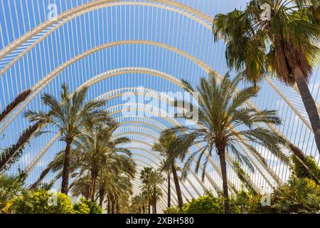 Valencia, Spanien - 17. April 2024: Außenstruktur des Umbracle Modern Building mit seinem Grün. Palmen auf dem Hintergrund des Himmels Stockfoto