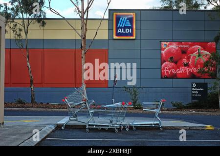 Mauer in Blockfarben für die Supermarktmarke ALDI, eine Reihe Einkaufswagen, die auf lustige Weise miteinander verbunden sind, Bäume Stockfoto