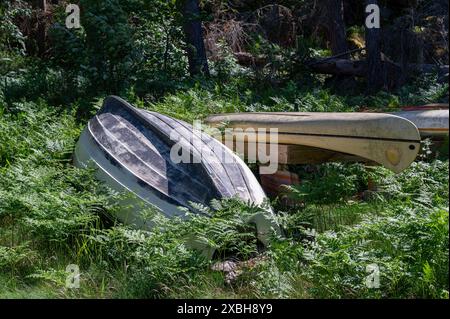 Boot und Kanu liegen kopfüber in Farnen Stockfoto