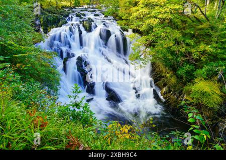 Blick auf den Swallow Falls Waterfall (Rhaeadr Ewynnol), im Snowdonia National Park, im Norden von Wales, Großbritannien Stockfoto