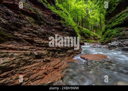 Langzeitbelichtung des Baches in der Taugl-Schlucht bei Salzburg, Österreich, Europa Stockfoto