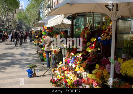 Blumenhändler auf La Rambla, Barcelona, Katalonien, Spanien Stockfoto