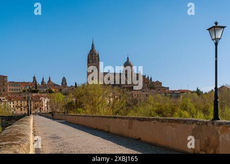 Salamanca, Spanien - 9. April 2024: Blick über die alte Römische Brücke in Salamanca auf die Kathedrale, die die Skyline der Stadt dominiert Stockfoto