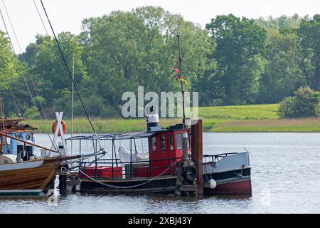 Boote, Museumshafen, Kappeln, Schlei, Schleswig-Holstein, Deutschland Stockfoto