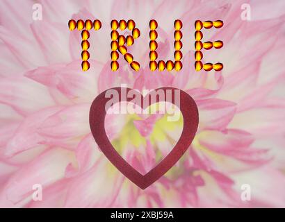 WAHRE LIEBE in einer wunderschönen künstlerischen Flora-Aufnahme. Gelbe und rote, süße Rosenblüten = wahr, rotes Herz = Liebe rosa/weiße Blüte in Wasserpixel. Stockfoto