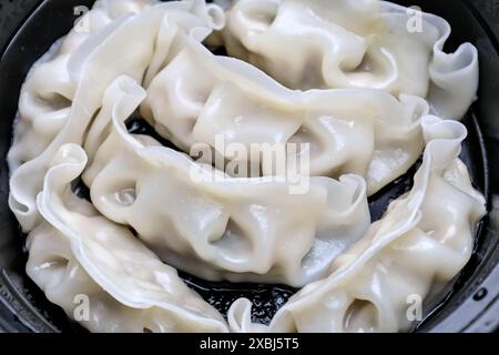 Nahaufnahme chinesischer gedämpfter Teigtaschen in einem Take-away-Behälter (asiatisches Schweinefleisch gefüllt Dim Sum Vorspeise), schwarzer Kunststoff-To Go-Teller-Box (Dampf Do Stockfoto