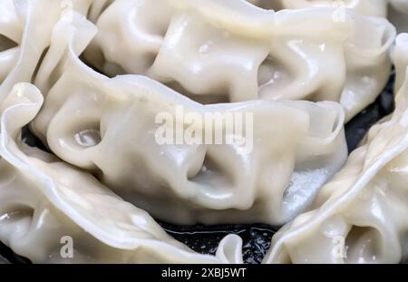 Nahaufnahme chinesischer gedämpfter Teigtaschen in einem Take-away-Behälter (asiatisches Schweinefleisch gefüllt Dim Sum Vorspeise), schwarzer Kunststoff-To Go-Teller-Box (Dampf Do Stockfoto