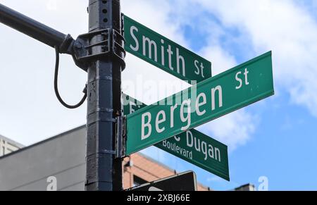 smith Street und bergen Street Schilder an der Ampel (Straßenbahnschild) brooklyn carroll Gardens, New york City Kreuzung Stockfoto