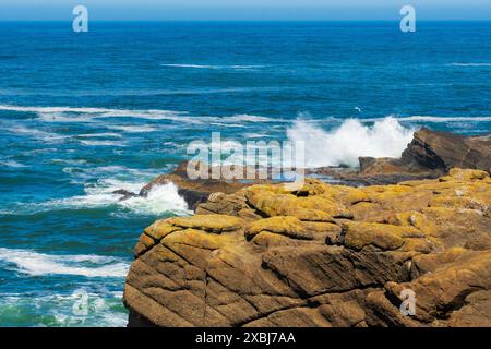 Wellen brechen über Felsen in der Sonne, Oregon Coast, Boiler Bay, USA Stockfoto