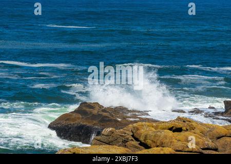 Wellen brechen über Felsen in der Sonne, Oregon Coast, Boiler Bay, USA Stockfoto