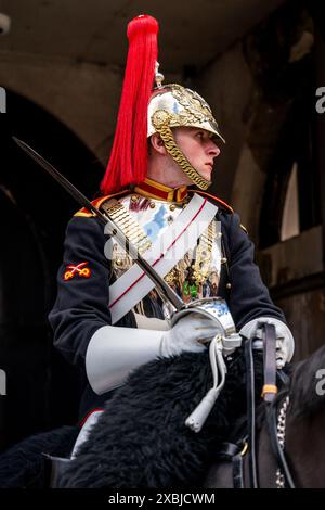 Eine berittene Königsgarde bei der Horseguards Parade, Whitehall, London, Großbritannien. Stockfoto