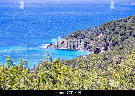 Archipel vor Hyeres im Mittelmeer Stockfoto